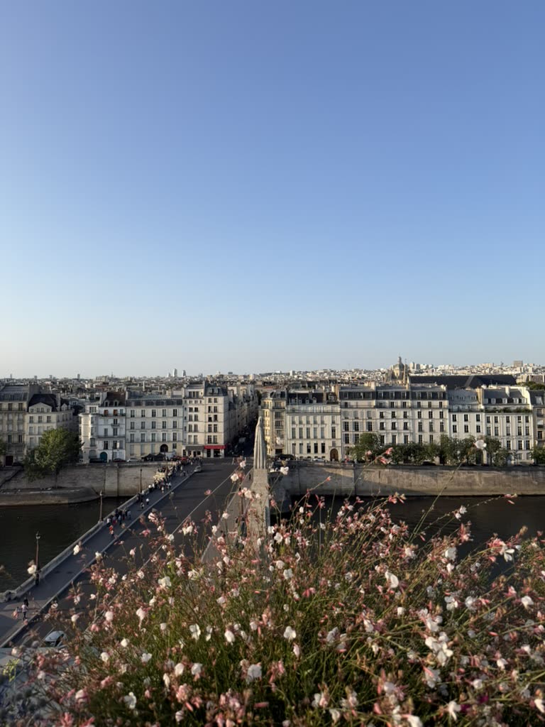 From the Tour d'Argent rooftop