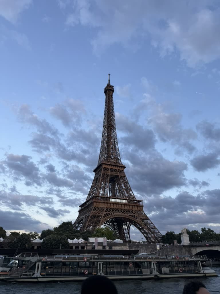 From a Vedettes du Pont Neuf boat